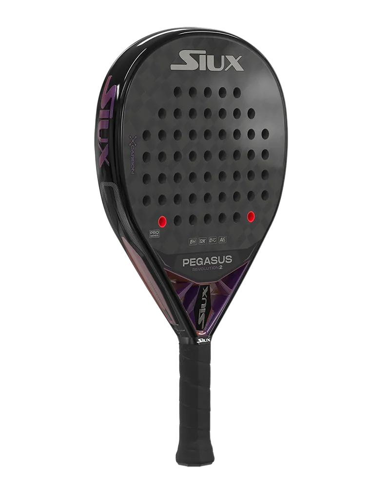 Siux Pala Pegasus Revolution 2 Pro 24