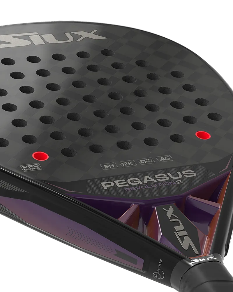 Siux Pala Pegasus Revolution 2 Pro 24