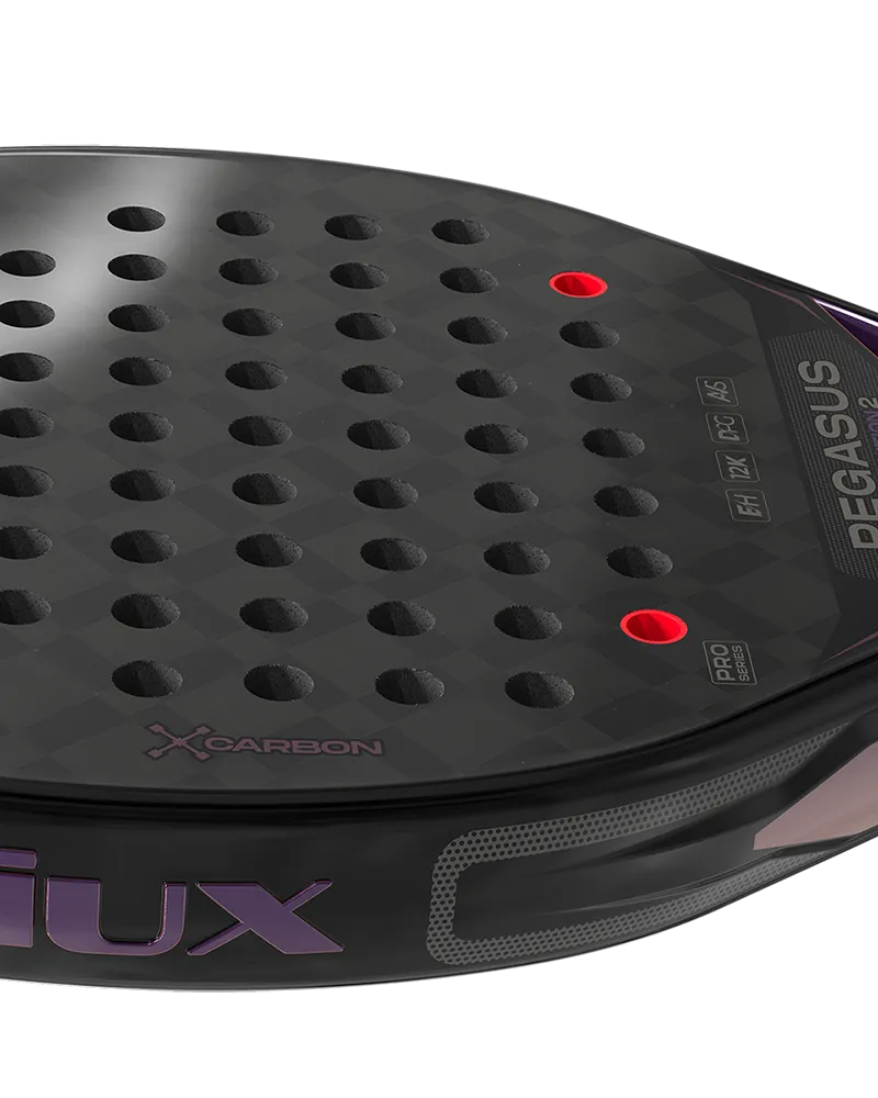 Siux Pala Pegasus Revolution 2 Pro 24