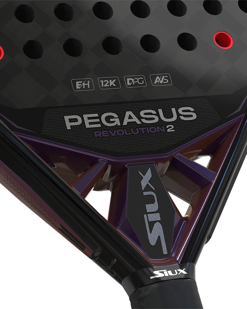 Siux Pala Pegasus Revolution 2 Pro 24
