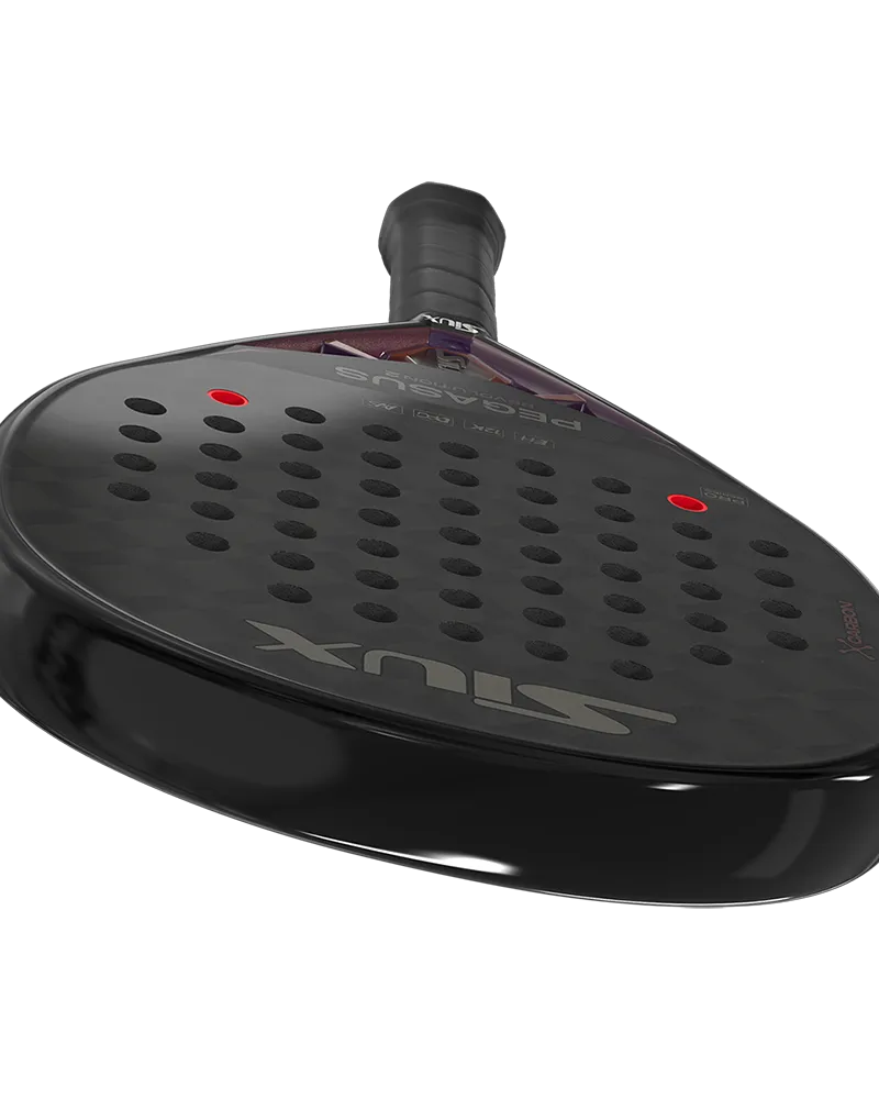 Siux Pala Pegasus Revolution 2 Pro 24