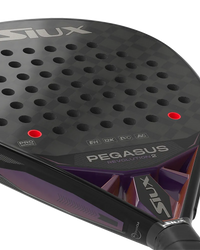 Siux Pala Pegasus Revolution 2 Pro 24