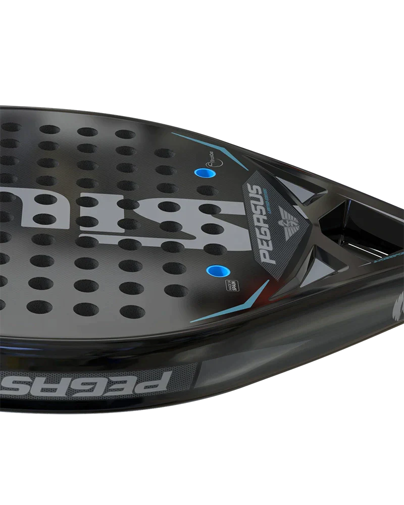 Siux Pala Pegasus 1K Ltd