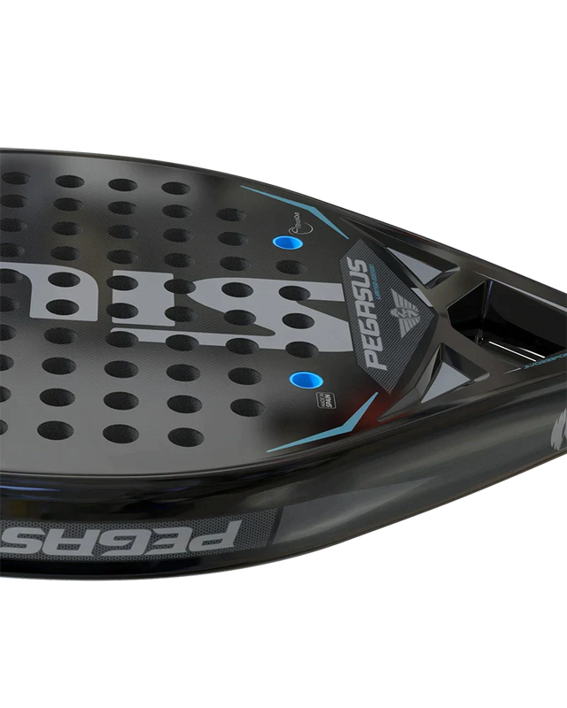 Siux Pala Pegasus 1K Ltd